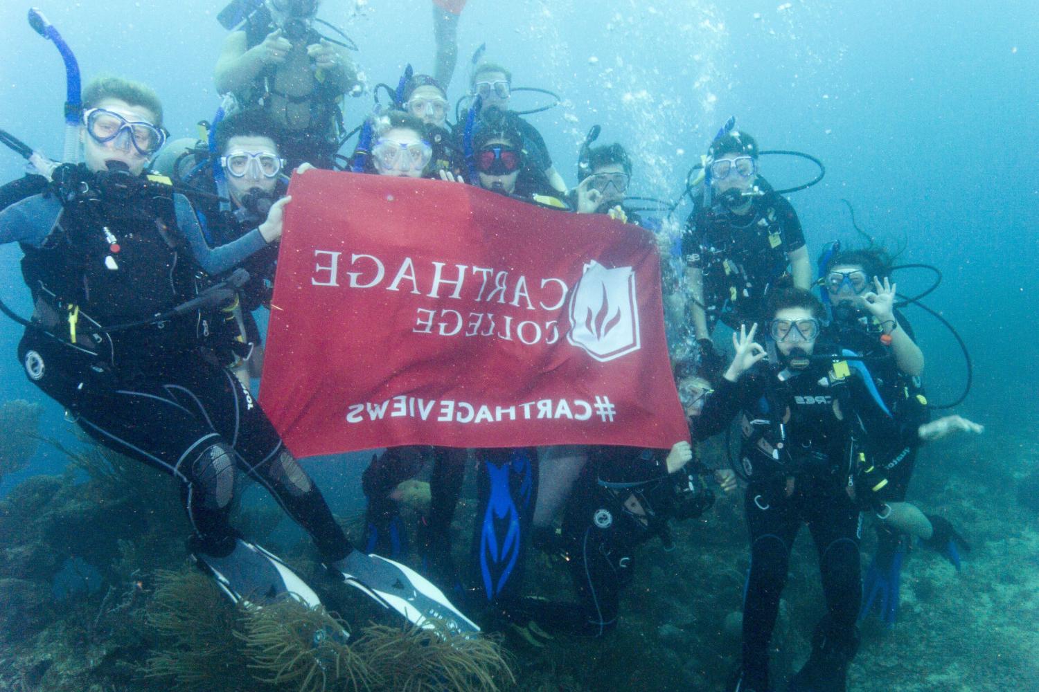 学生们手持<a href='http://7pbr.ngskmc-eis.net/'>博彩网址大全</a>旗帜，在j学期洪都拉斯游学之旅中潜水.